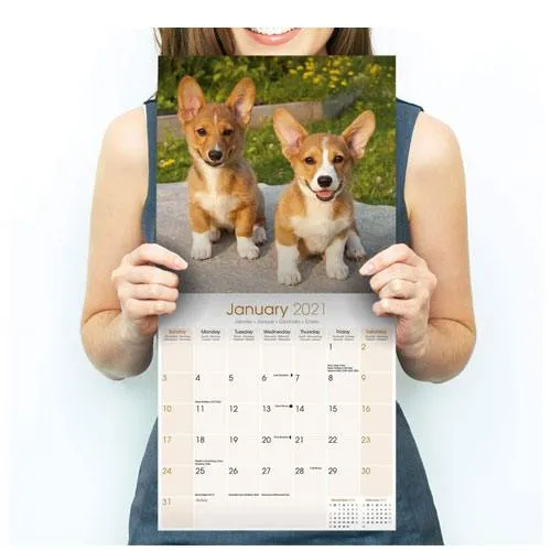 corgi calendar 2021