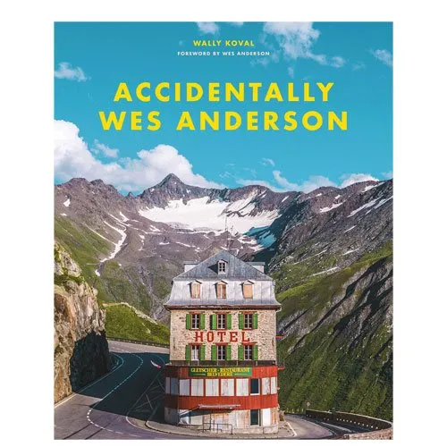 accidentally wes anderson book