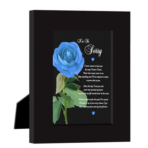 apology poem for him