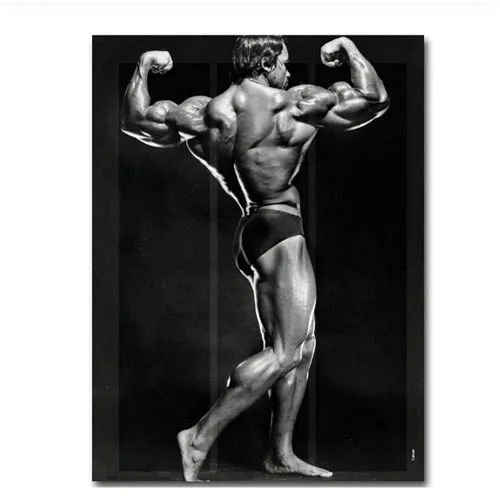 arnold schwarzenegger poster