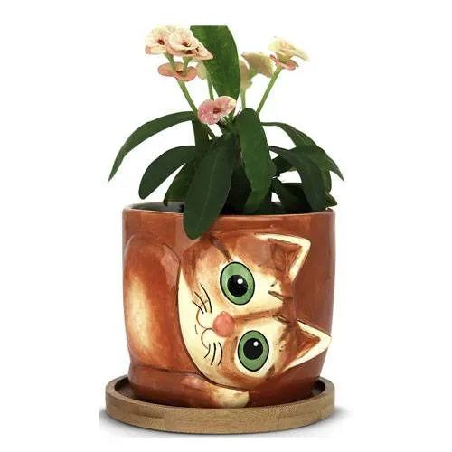 cat flower pot