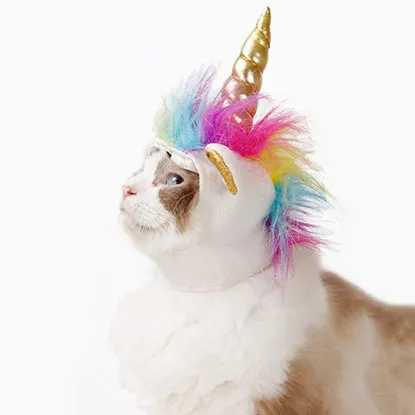 cat unicorn hat