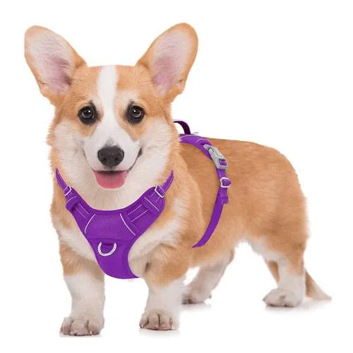 dog harness gift idea