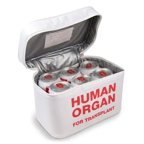 emt insulated lunch bag