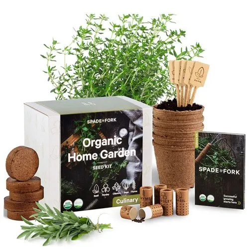herb garden starter kit