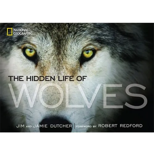 the hidden life of wolves book