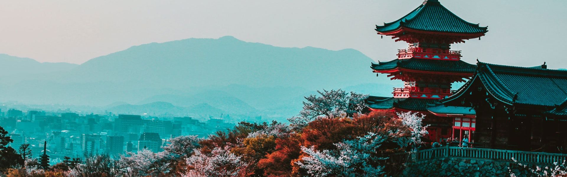 30 Cool & Cute Japanese Gifts Ideas for Japan Lovers