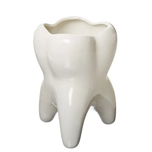 molar tooth vase