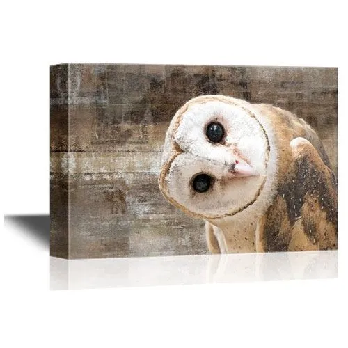 owl canvas wall art