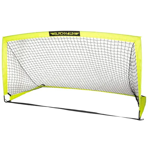portable goal net