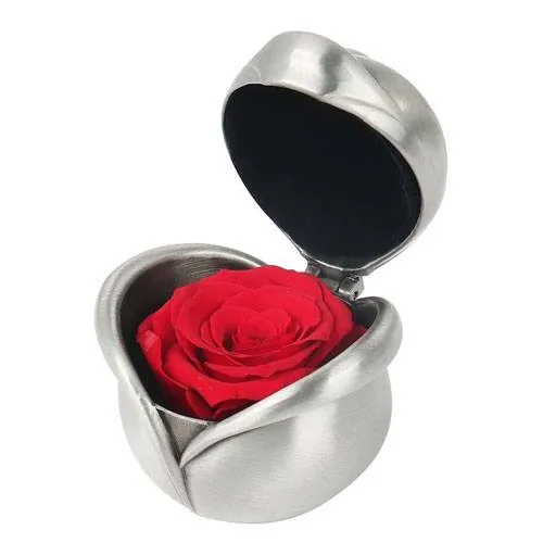 preserved flower rose anniversary gift for her