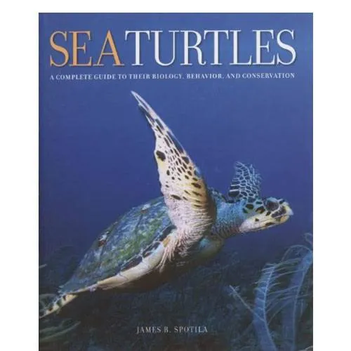 sea turtles book