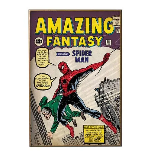 spiderman comic book wall art