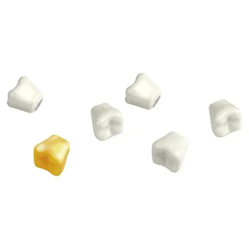 teeth magnets for dentists