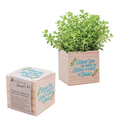 thyme desk plant