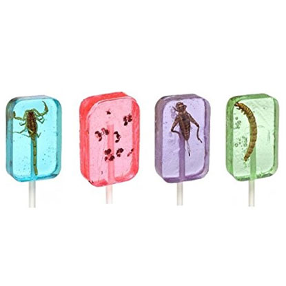 insect lollipops