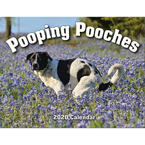pooping pooches calendar gag gift