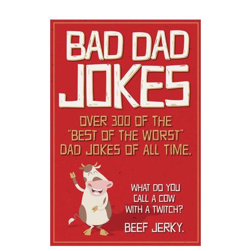 bad dad jokes book