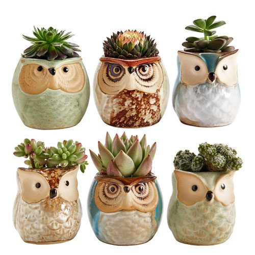 ceramic owl plant pots