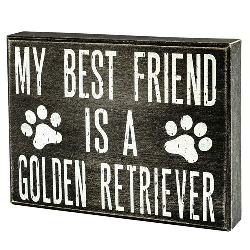 my best friend is a golden retriever 